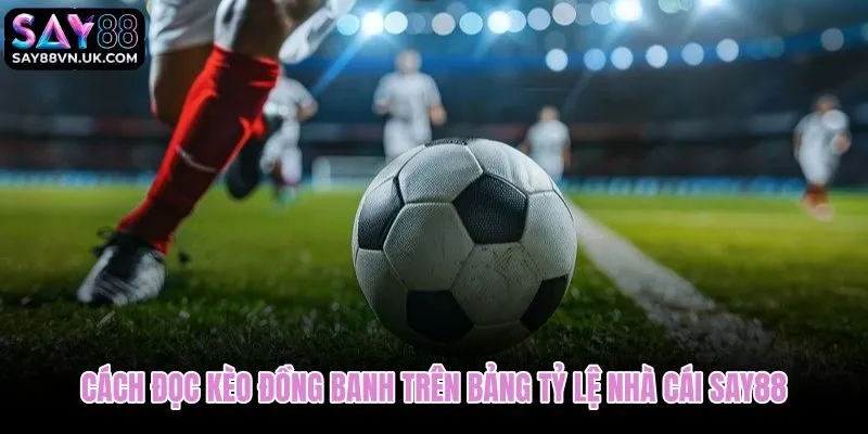 Bảng tỷ lệ kèo đồng banh tại Say88 kèm điểm ăn từng đội
