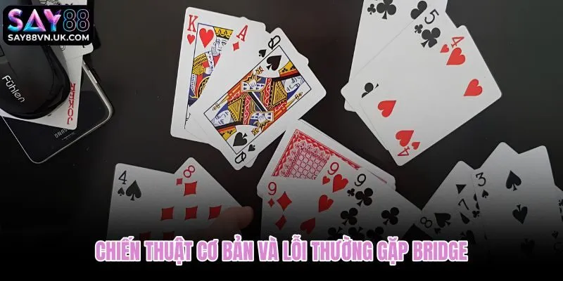 Cách chơi Bridge hiệu quả qua đếm điểm và phối hợp đối tác