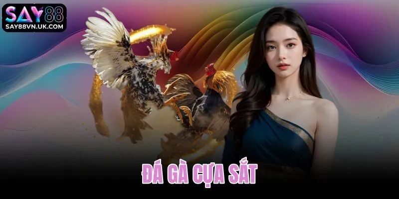 Đá gà cựa sắt