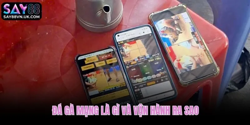 Đá gà mạng là gì cơ chế kết nối sới thật với người xem trực tuyến