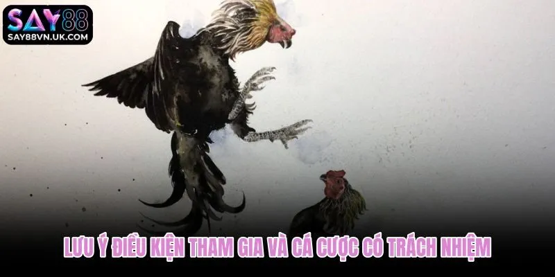 Điều kiện tham gia đá gà Campuchia kèm giới hạn và trách nhiệm người chơi