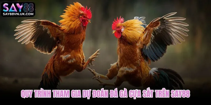 Quy trình dự đoán đá gà cựa sắt trên Say88 theo từng bước cụ thể